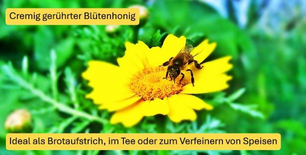 Blütenhonig