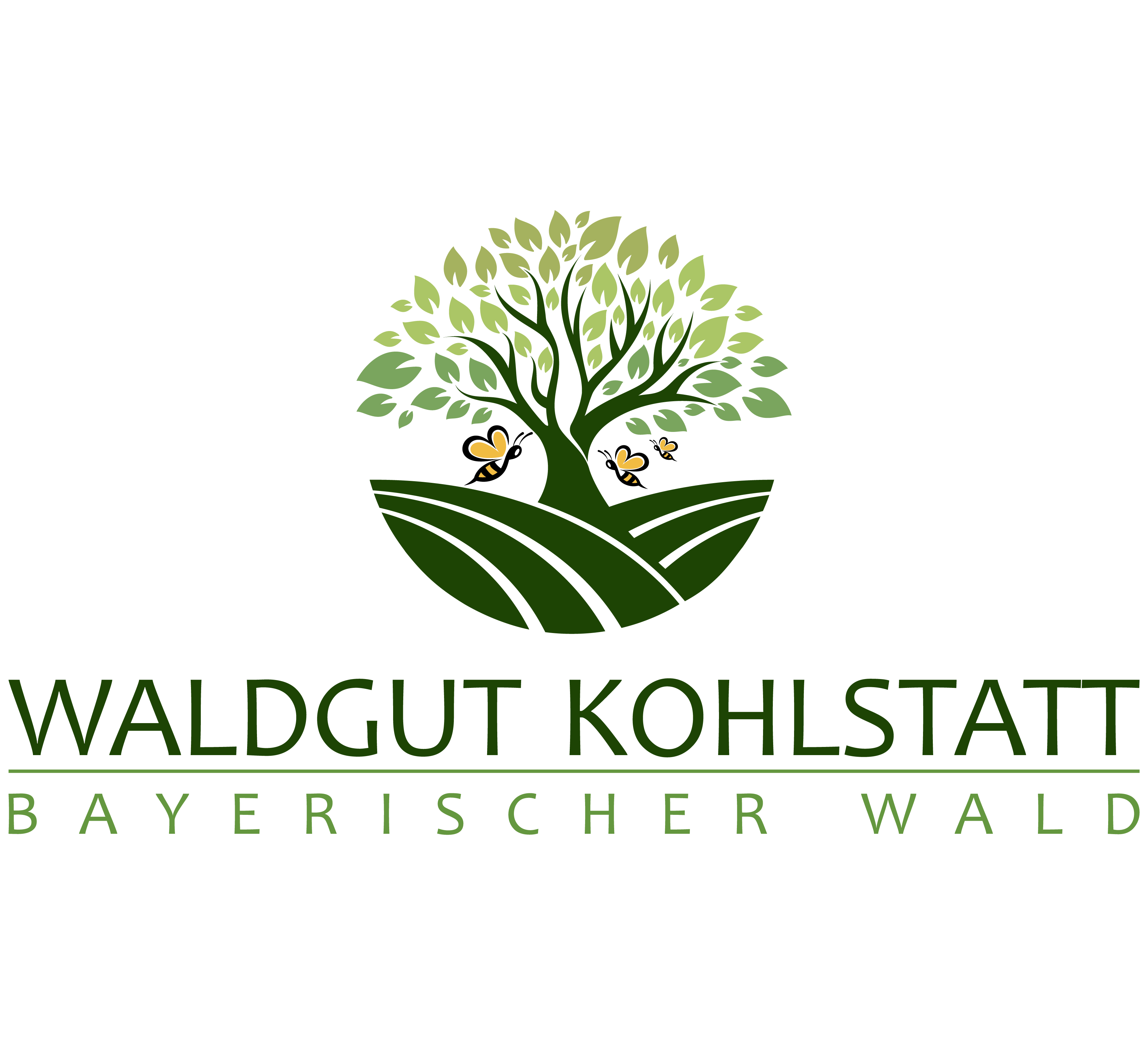 Waldgut Kohlstatt | Ökologisch-biodynamische Imkerei | Bienenhof mit Honig aus dem Bayerischen Wald