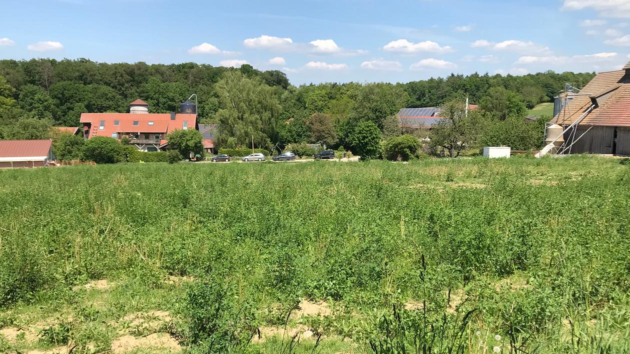 Hofgut Schloss Hamborn