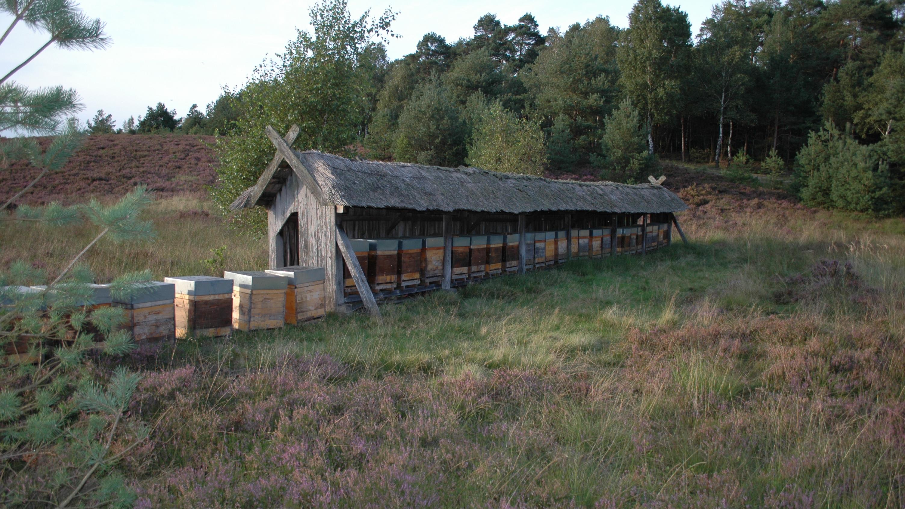 Imkerei Brandt