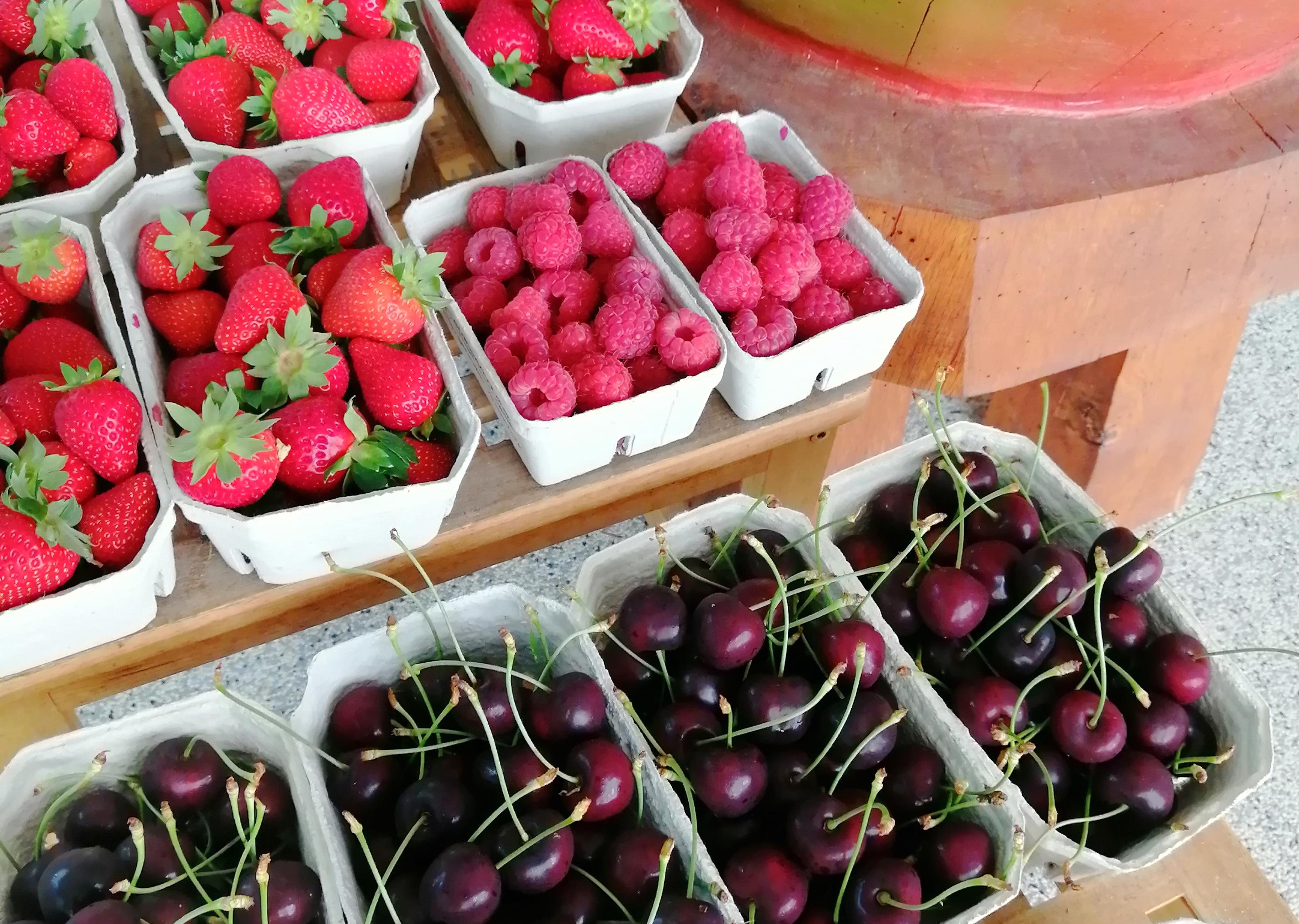 Obstbau Braig