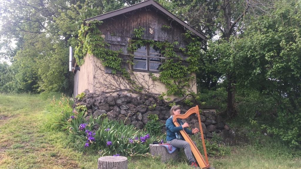 Ökologisches Weingut Rabenhof