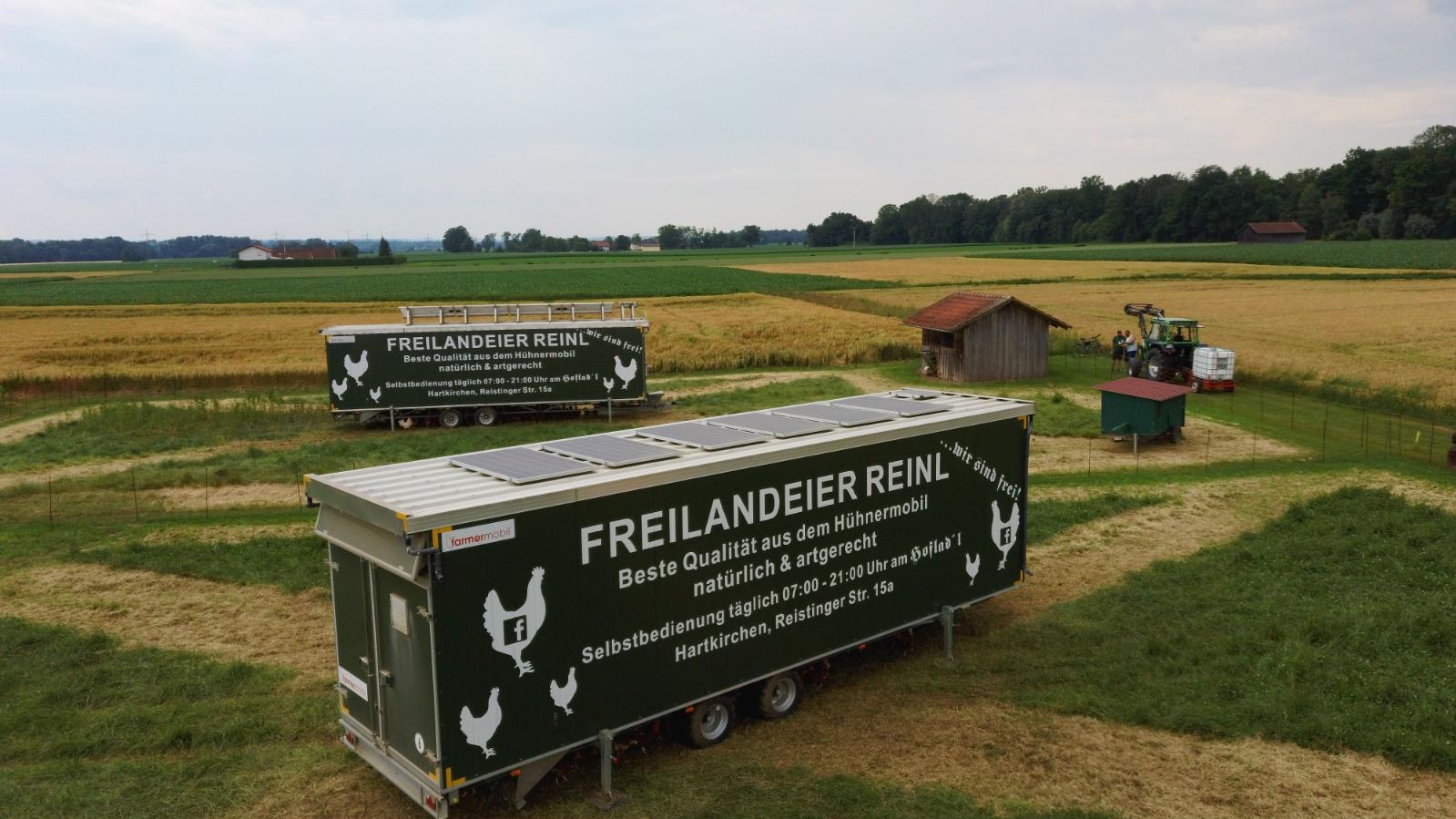 Freilandeier Reinl