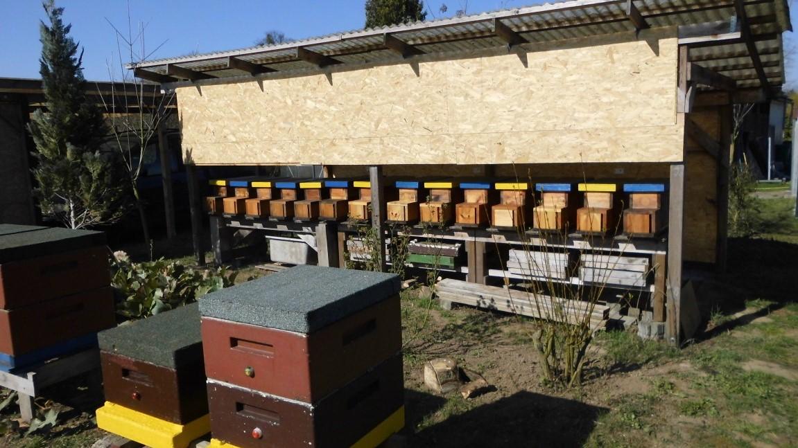 Imkerei Zum Bienenkorb