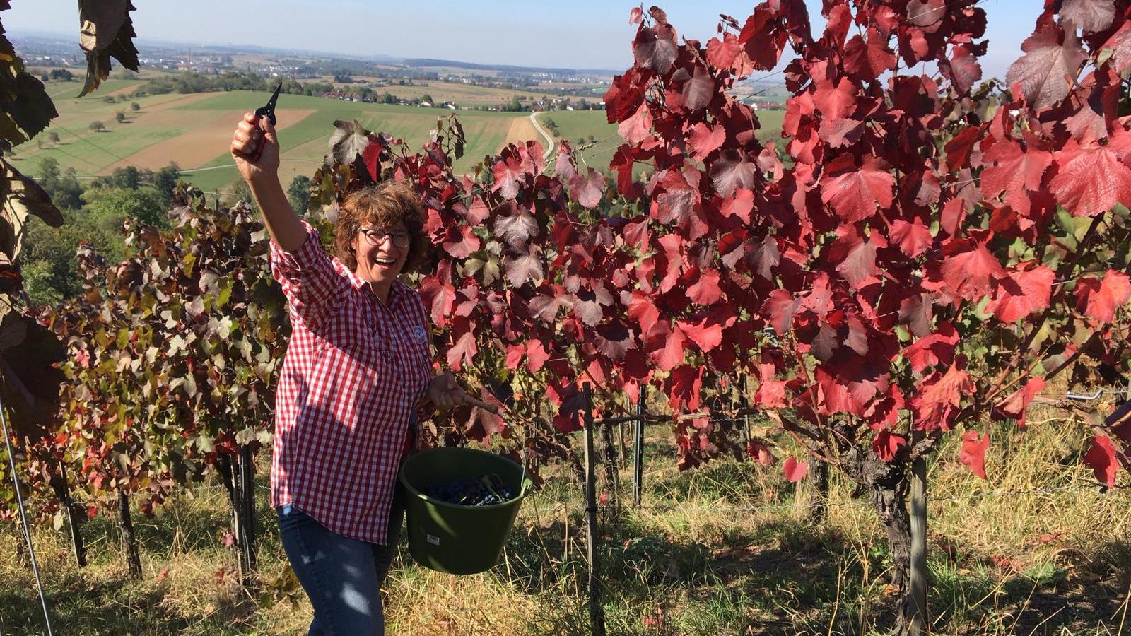 Bioweingut Häußermann