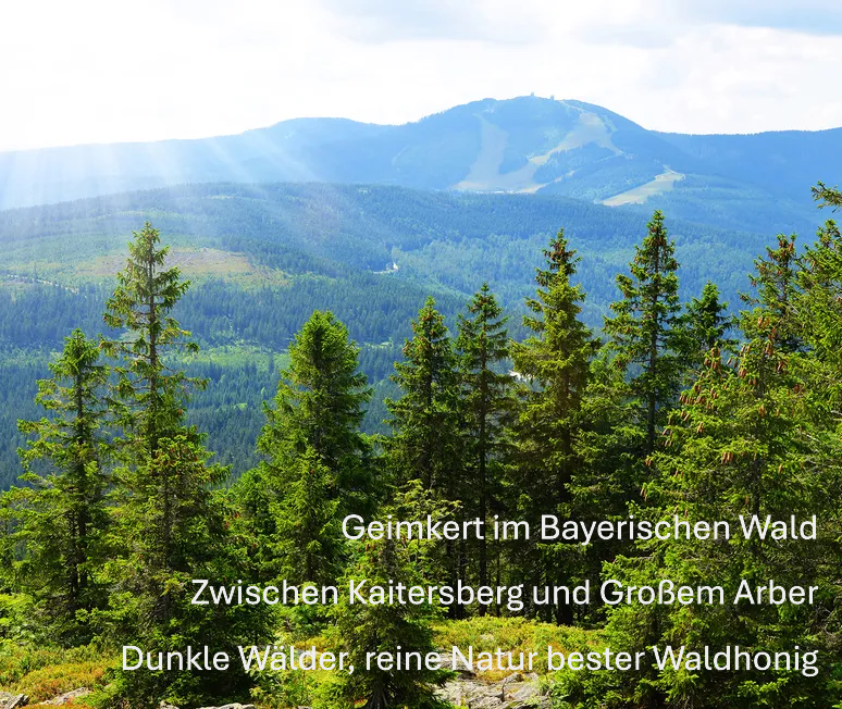 Waldhonig
