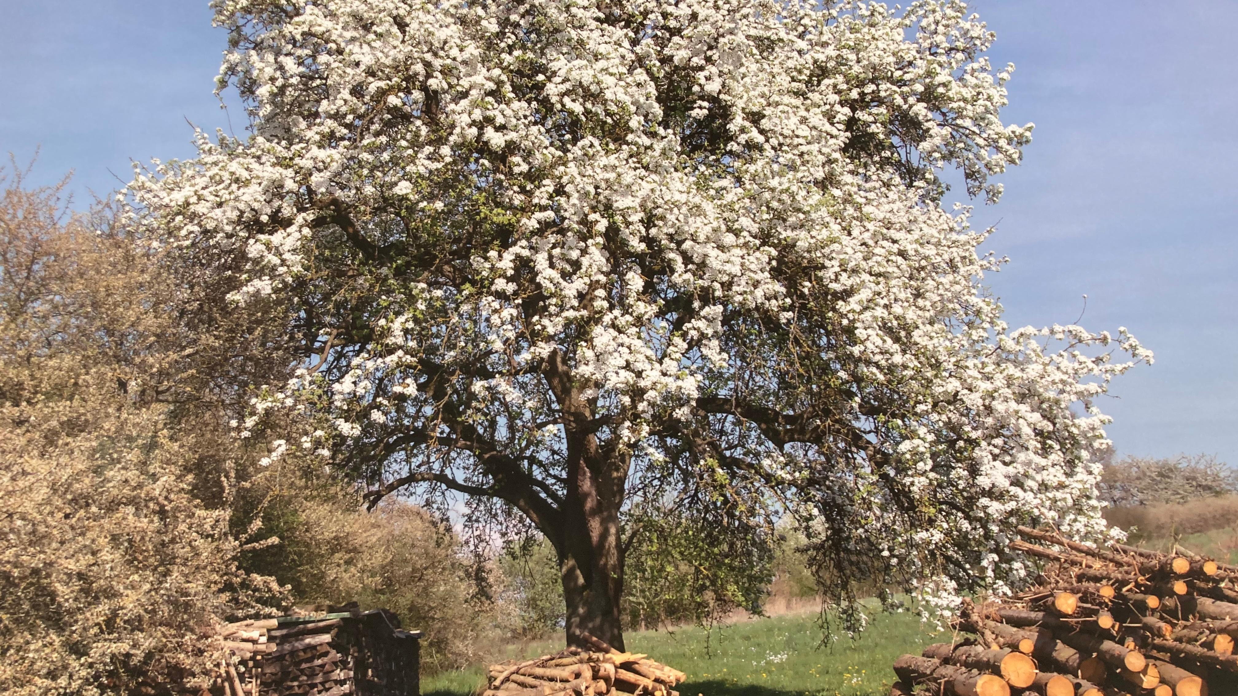 Hutzelhof Hümmer