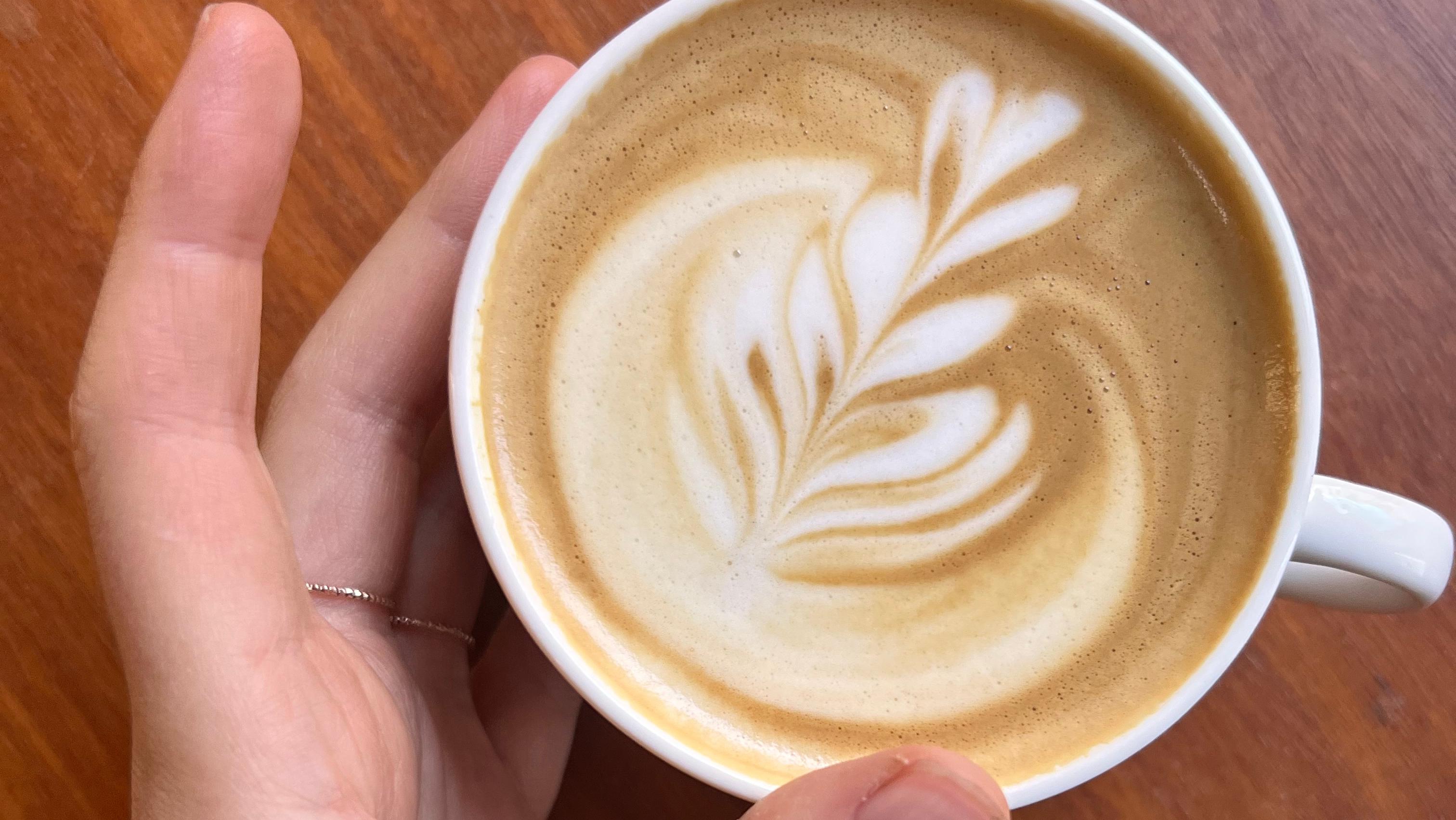 Café Fenchel Amadeus