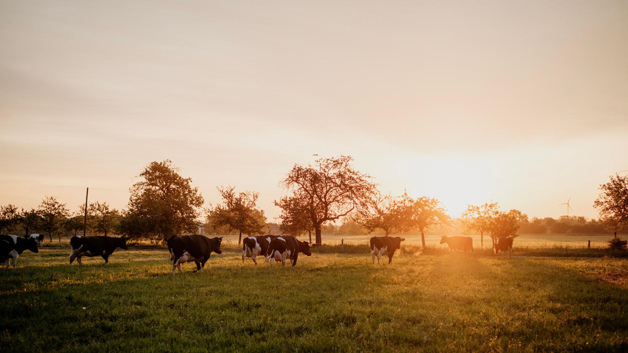 Gut Ogrosen – Hofladen