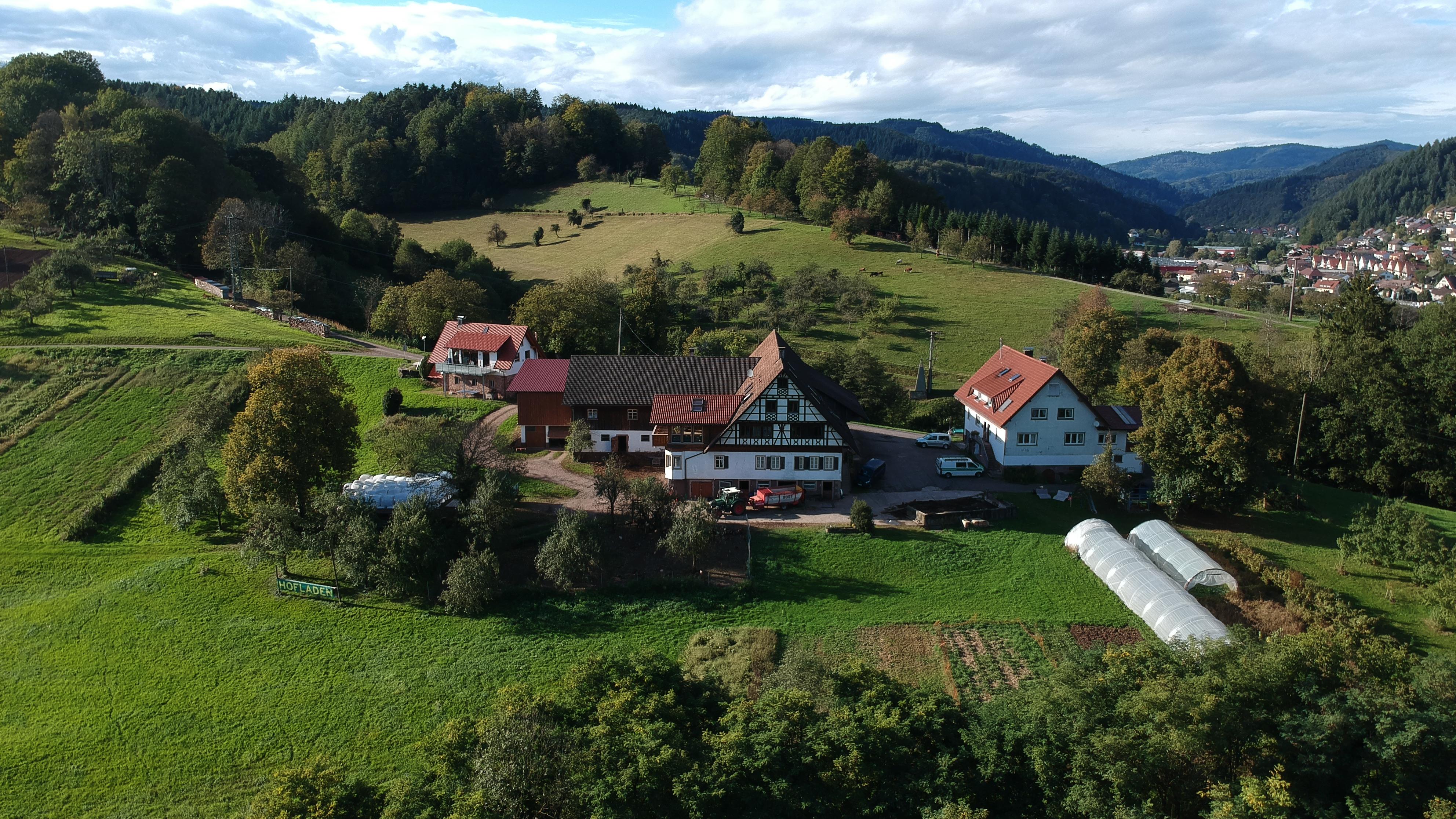 Vorderbühlhof