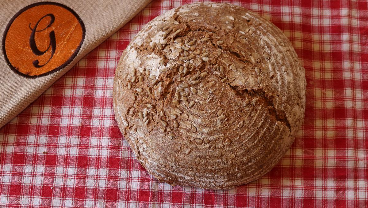 Bio PUR Roggenbrot Bio PUR Roggenbrot