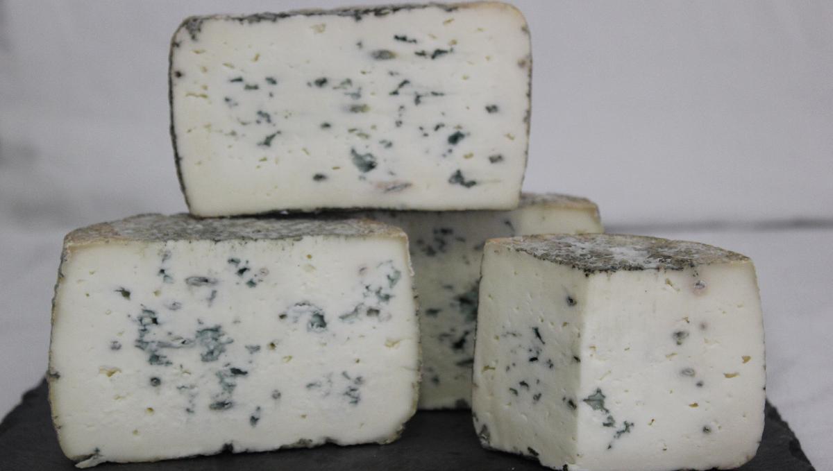 Ziegenblauschimmel Ziegenblauschimmel