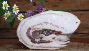 Gerollter Bauchspeck (Pancetta) Gerollter Bauchspeck (Pancetta)