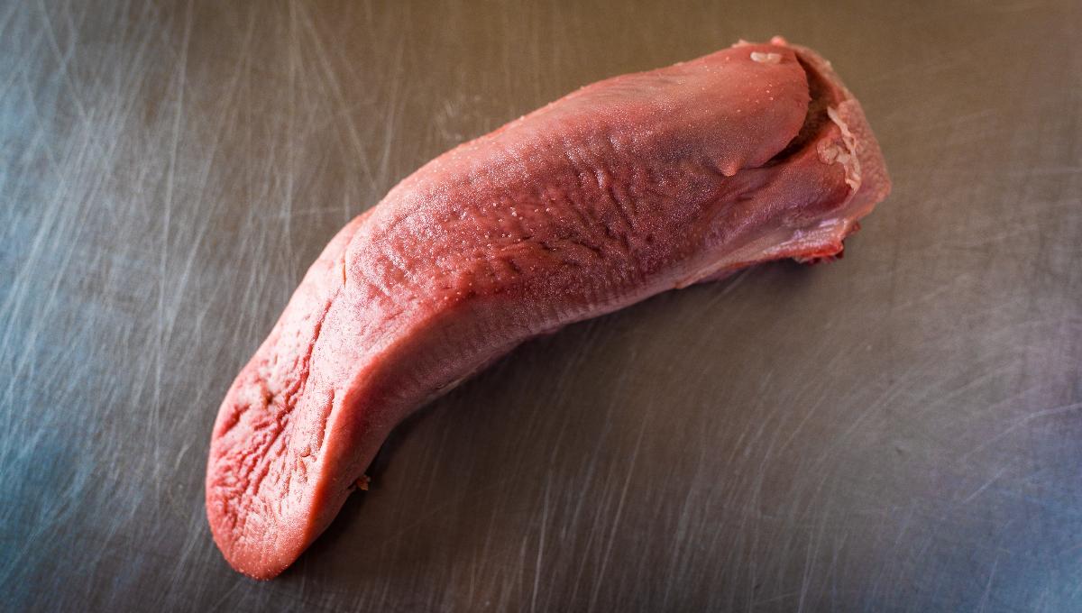 Schweinezunge Schweinezunge