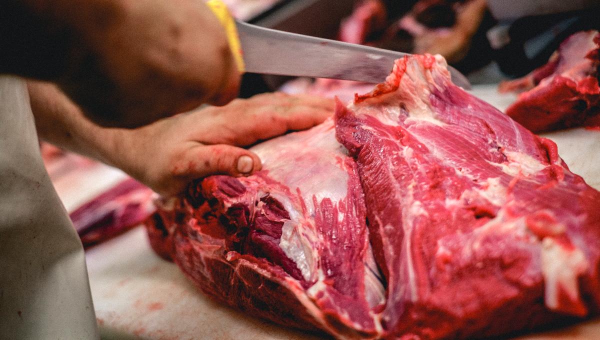Hackfleisch Hackfleisch