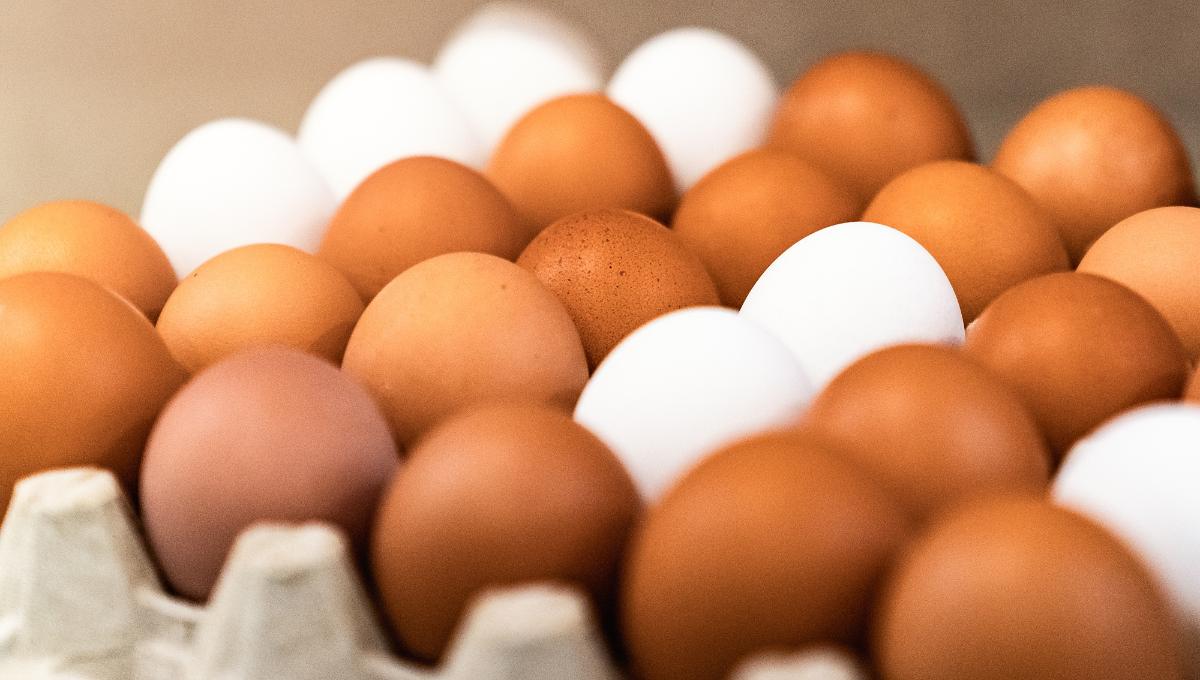 Eier Eier