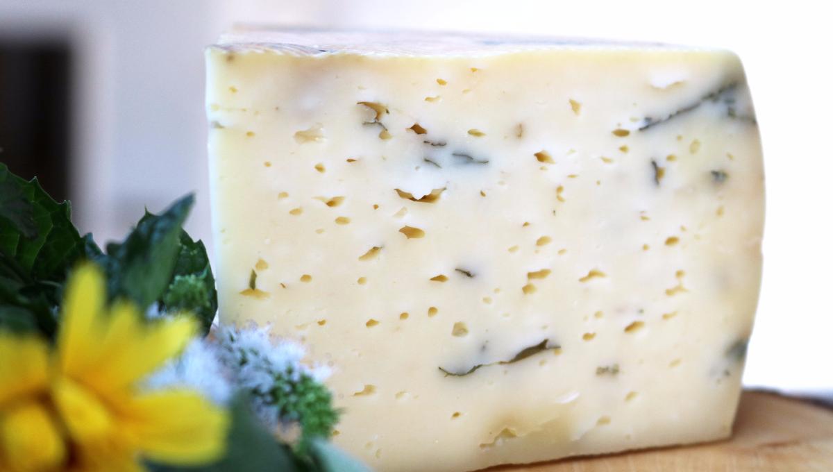 Bärlauch Schnittkäse Tilsiter Art Bärlauch Schnittkäse Tilsiter Art