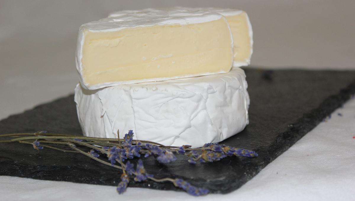 Camembert Camembert